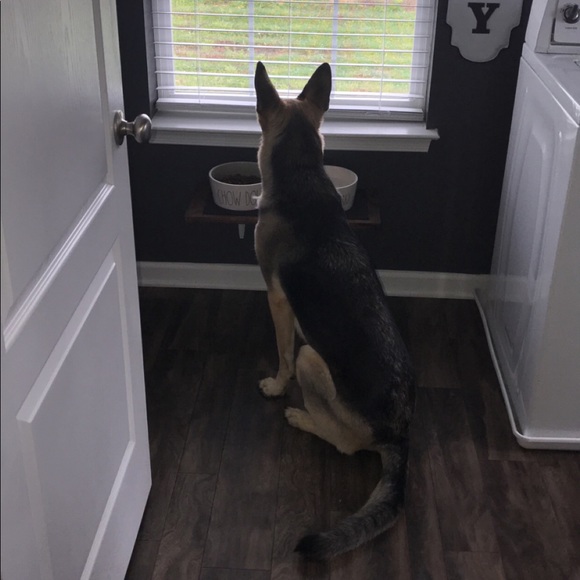 MEET YOUR POSHER, REBECCA - Picture 8 of 13